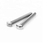 Polish Finish Track T Head Bolts A2-70 Stainless Steel T Bolts T Nut Bolts for sale