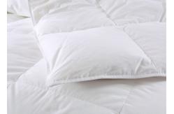 China Off White 200cm Width 230cm Length Duck Down Duvet supplier