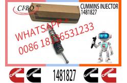China fuel injector 1464994 579251 1529790 1473430 1481827 1511696 1521978 1764364 579263 1499257 supplier