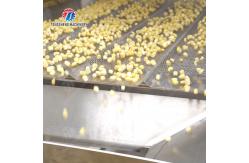 China The corn threshing washing blanching production line supplier