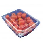 Eco Friendly Disposable PET Fruit Plastic Packaging Boxes OEM for sale