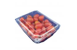 China Eco Friendly Disposable PET Fruit Plastic Packaging Boxes OEM supplier
