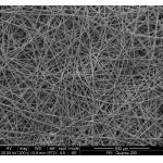 Ultra Fine Titanium Fiber Porous Felt Key Materials for PEM Hydrogen Fuel Cell for sale
