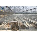 Greenhouse Moveable Mesh Seed Bench Rolling Nursery Seedbed With Aluminum Alloy Frame