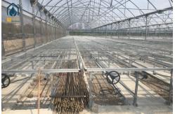 China Greenhouse Moveable Mesh Seed Bench Rolling Nursery Seedbed With Aluminum Alloy Frame supplier