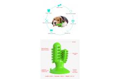 China Cactus Dog Teeth Cleaning Chew Toy Squeaky Rubber Relieve Anxiety TPR OEM supplier