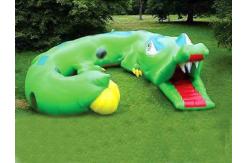 China Inflatable Cartoon Tunnel Maze, Green Cayman Tunnel Design supplier