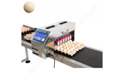 China Chicken Egg Printer Printing Machine  Ink Jet Printer Eggs Machine Egg Date Printer supplier