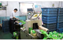 China Plastic Scouring Ball manufacturer