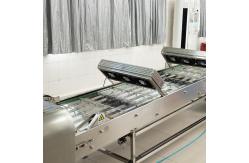 China Automatic  Ice Cream Cone Marshalling Cooling Conveyor With One Year Warranty supplier