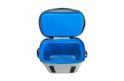 China Portable 20L TPU Soft Cooler Backpack For Camping Food Preservation supplier