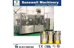 China High Frequency Beverage Processing Machine Fruit Works Apple Raspberry supplier