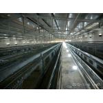 Modern Poultry Battery Cage 4 Floors Broiler Chicken Farming Equipment for sale
