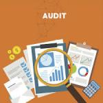 Increasing Efficacy Social Audit Service Creating Awareness Benefits Disadvantaged Groups for sale
