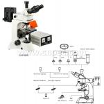 40X - 1000X Trinocular Fluorescence Microscope Compound Microscopes A16.0205