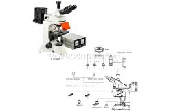 China 40X - 1000X Trinocular Fluorescence Microscope Compound Microscopes A16.0205 supplier