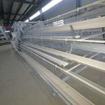 Full Automatic Hot Galvanized Layer Chicken Cage for sale