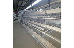 China Full Automatic Hot Galvanized Layer Chicken Cage supplier