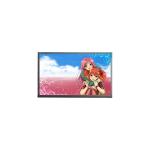 LQ035Q1DG04 320*240 Touch LCD Screen for Portable Navigation for sale