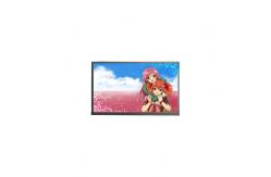 China LQ035Q1DG04 320*240 Touch LCD Screen for Portable Navigation supplier