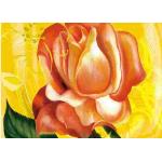 Excellent Glossy Scratchproof Ecosolvent Inkjet Receptive Coating For Cotton Fabrics