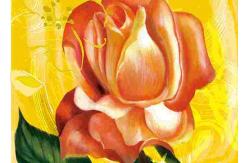 China Excellent Glossy Scratchproof Ecosolvent Inkjet Receptive Coating For Cotton Fabrics supplier