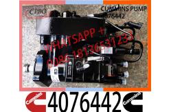 China Diesel Engine Fuel System Parts QSC8.3 Fuel Pump 4076442  2791667 supplier