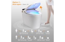 China Luxury Bathroom Sensor Electric Automatic Flush Wc Bidet Intelligent Smart Toilet supplier