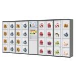 Smart Flower Vending Locker With Touch Screen For Advertising And Transparent Doors for sale