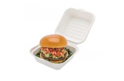China Compostable disposable eco-friendly clam shell burger customized disposable food packaging takeaway box supplier