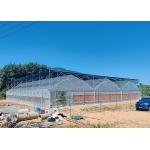 China Multi Span Greenhouse Durable Polyethylene Structure With Manual Or Motorized Roll Up Ventilation System manufacturer