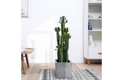 China Custom Cactus Ornaments Bonsai Artificial Succulent Plant supplier