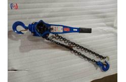 China Heavy Duty Chain Type Handle Hoist For Power Line Construction And Maintenance supplier