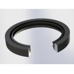 Marine Pump and Hydropower Industries Custom Radial Shaft Seals for O-Ring Applications for sale