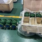 2 1/16 5000psi Hydraulic Check Valve For High Pressure Applications