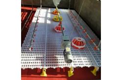 China Duck Broiler 100% PP UV Poultry Slat Flooring supplier