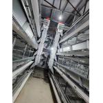 0.75kw Auto Feeding Layer Chicken Cage 54-384 Birds For Husbandry for sale
