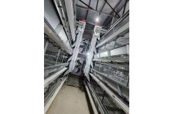 China Layer Poultry Battery Cage With Belt Or Scraper Manure Removal System supplier