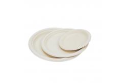 China Customized Disposable Paper Plate Round Sugarcane Pulp Paper Plate for Birthday Cake supplier