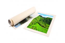 China 60 Inch Large Format Inkjet Cotton Canvas For Eco Solvent Ink supplier