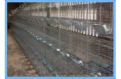 China Welded Wire Mesh Fencing Panels Rabbit Battery Cage 3 Or 4 Layers supplier