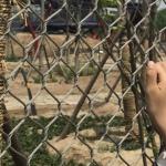 Protected Wild Animal Enclosure Fence Made With Seamless Stainless Steel Mesh
