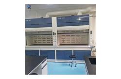 China Benchtop Steel Fume Hood Alkali Proof Safety Customized For Laboratory supplier