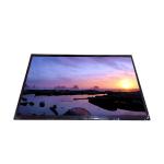 10.1 inch MIPI IPS Laptop LED Screen B101EAN01.5 1280*800 TFT LCD Display for sale