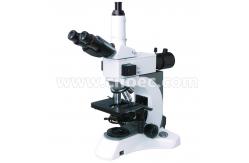 China Infinity Plan Fluorescence Microscope Halogen Lamp A16.1029 40x - 1000x supplier