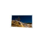 1024*600 LQ0DZA0050 5.0 inch 262K lcd Screen for MID UMPC for sale