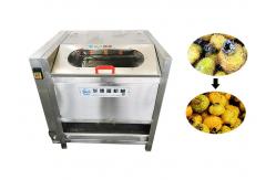 China 700kg/H 380v Lotus Root Vegetable Washing Machine supplier