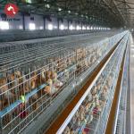 A Type Battery Layer Chicken Cages H-Type Battery Cage And Automatic Breeding System for sale