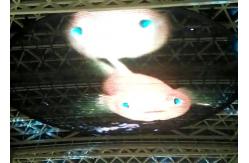 China AC85V 7800cd/Sqm Transparent LED Curtain DIP347 LED Mesh Video Wall supplier