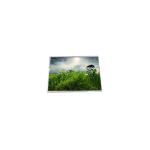 4.3 inch auo lcd panel A043FW01 V0 480×272 LCD module for sale